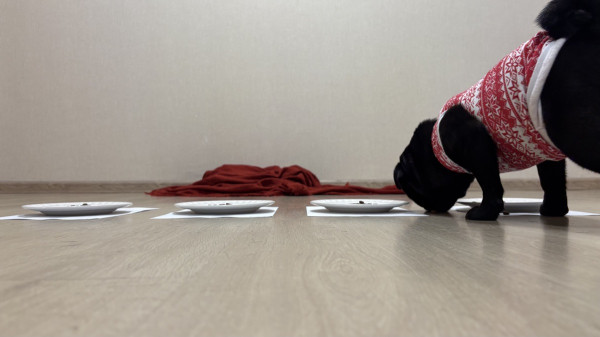 
                    &laquo;Мир обещает деньги&raquo;: альтернативные финансовые прогнозы на 2026 год
                