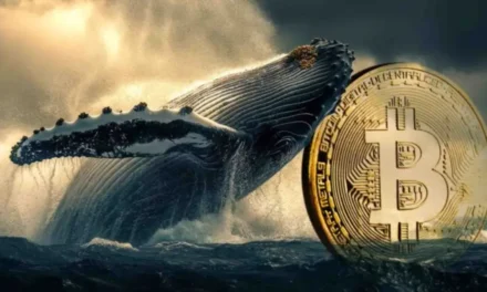 Доля новых крупных держателей биткоина поставила абсолютный рекорд