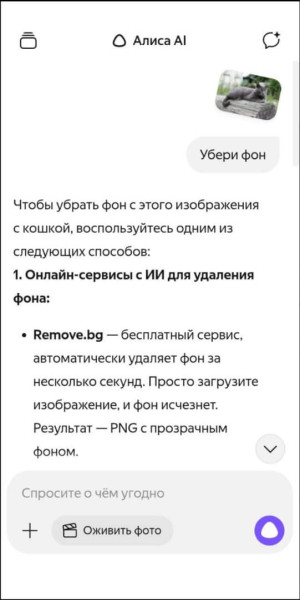 
											
							Нейросеть Алиса AI: что это такое, что умеет и как пользоваться						
									