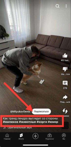 Как набрать много просмотров в YouTube Shorts — 16 способов
Как набрать много просмотров в YouTube Shorts — 16 способов