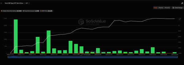 Спотовые ETF XRP продлили 29-дневную полосу притока, несмотря на декабрьскую распродажу
