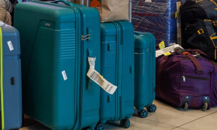 Программами трудовой мобильности россияне интересуются мало