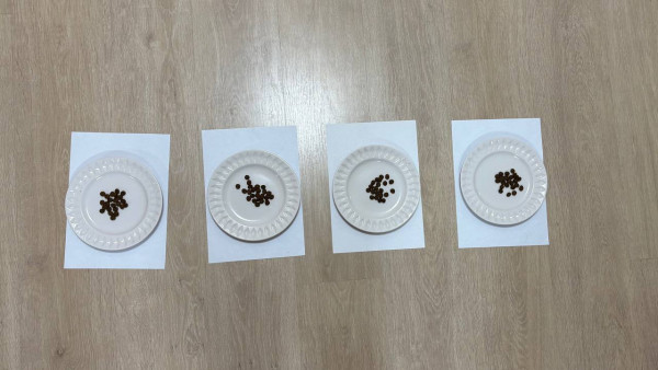 
                    &laquo;Мир обещает деньги&raquo;: альтернативные финансовые прогнозы на 2026 год
                