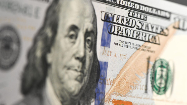 Официальный курс доллара ЦБ РФ упал за 2025 г. на 23,45 руб., или на 23,06%