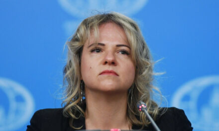 Лукаш: делегация РФ на встрече шерп в G20 говорила о замороженных активах