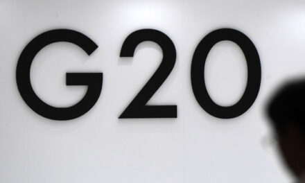 Делегация России в G20 назвала заморозку российских активов воровством