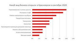 Страхование домашних животных новшества и советы