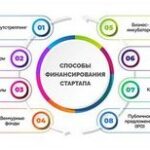 Что необходимо для успешной франшизы пошаговое руководство