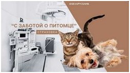 Импортозамещение в ритейле успехи и сложности