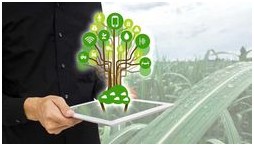 Инвестирование в фондовый рынок что нужно знать перед покупкой акций