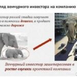 Как избежать банкротства в условиях экономического кризиса