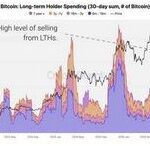 Как венчурные капитальные компании работают с международными рынками