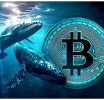 Банки развивают экосистемы финансовых сервисов