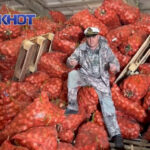 Аграрная катастрофа на Дону: лук гниёт на складах, пока Россия закупает его у Казахстана