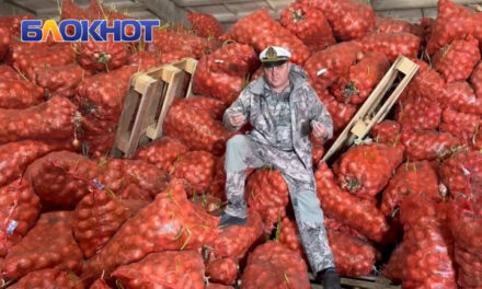 Аграрная катастрофа на Дону: лук гниёт на складах, пока Россия закупает его у Казахстана