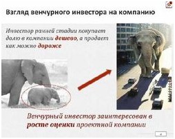 Как избежать банкротства в условиях экономического кризиса